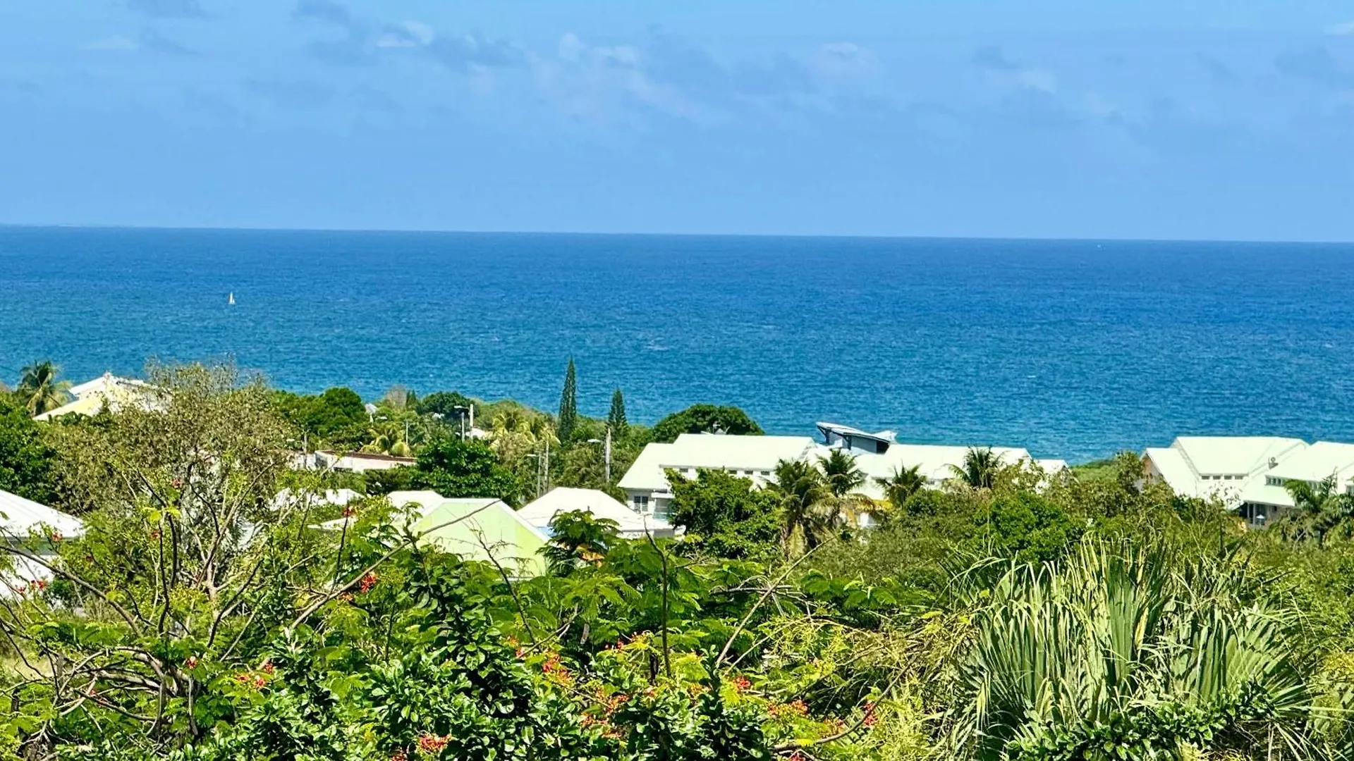 Bleu Horizon Apartment Le Gosier   Le Gosier (Grande-Terre)